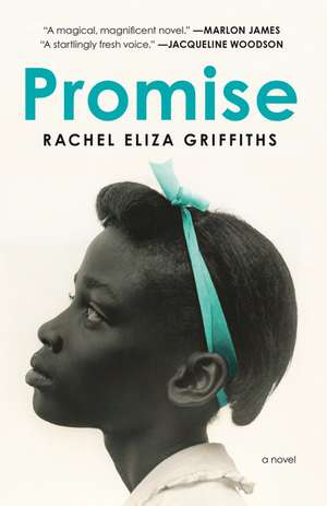 Promise de Rachel Eliza Griffiths