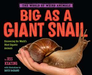 Big as a Giant Snail de Jess Keating