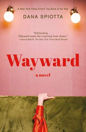 Wayward de Dana Spiotta