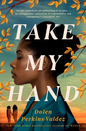 Take My Hand de Dolen Perkins-Valdez