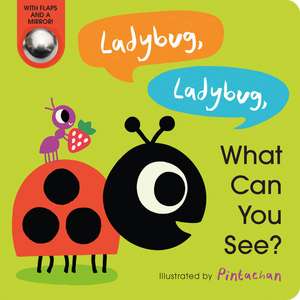 Ladybug, Ladybug, What Can You See? de Amelia Hepworth