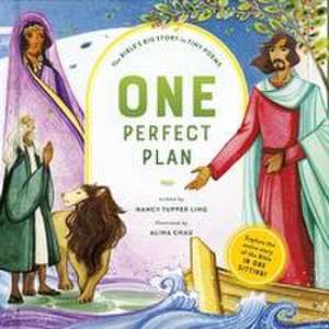 One Perfect Plan de Nancy Tupper Ling