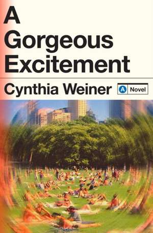 A Gorgeous Excitement de Cynthia Weiner