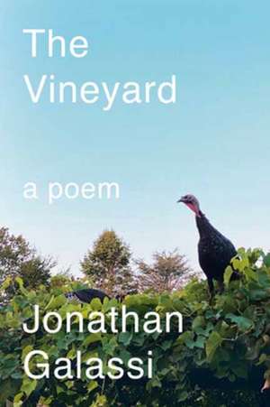 The Vineyard de Jonathan Galassi