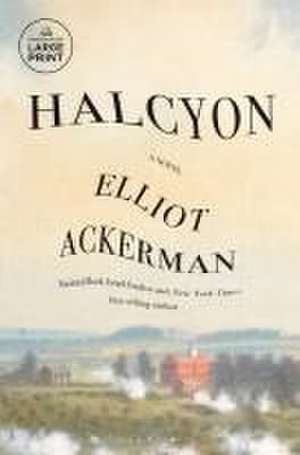 Halcyon de Elliot Ackerman