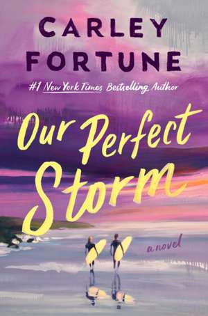 Our Perfect Storm de Carley Fortune
