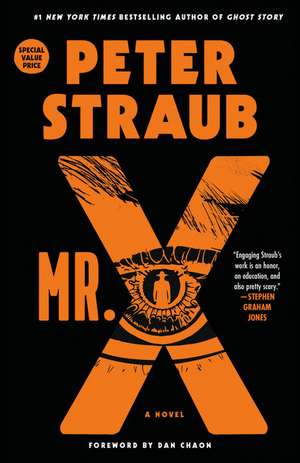 Mr. X de Peter Straub