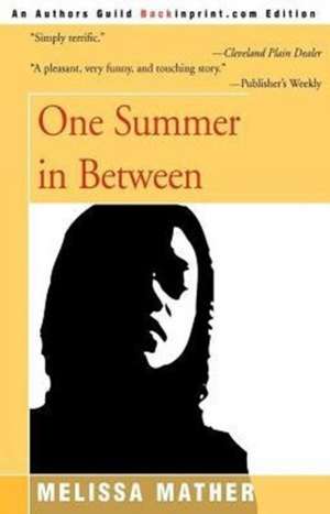 One Summer in Between de Melissa Mather