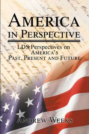 America in Perspective de Andrew S. Weeks