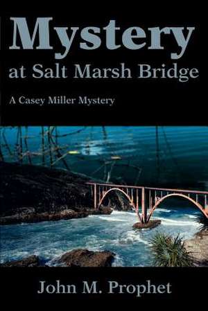 Mystery at Salt Marsh Bridge de John M. Prophet