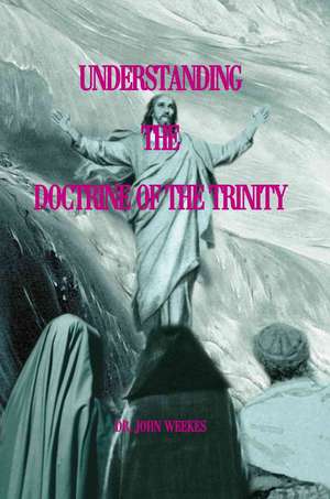 Understanding the Doctrine of the Trinity de John Weekes