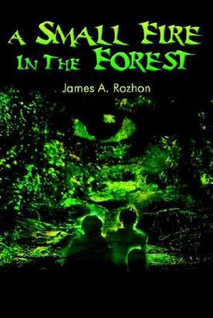 A Small Fire in the Forest de James Rozhon