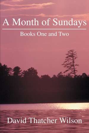 A Month of Sundays de David T. Wilson