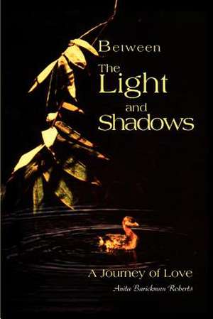 Between the Light and Shadows de Anita B. Roberts