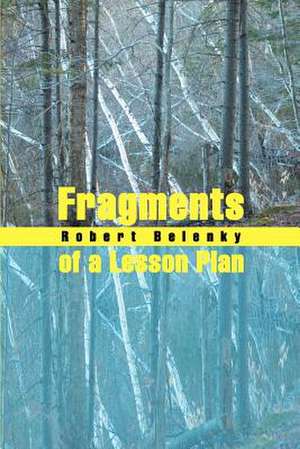 Fragments of a Lesson Plan de Robert Belenky