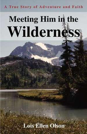 Meeting Him in the Wilderness de Lois E. Olson