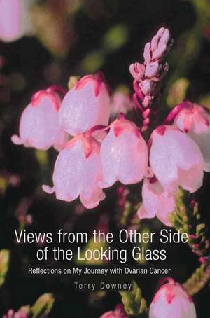 Views from the Other Side of the Looking Glass de Terry Downey