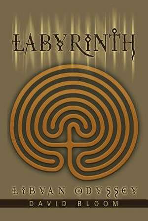 Labyrinth de David Bloom