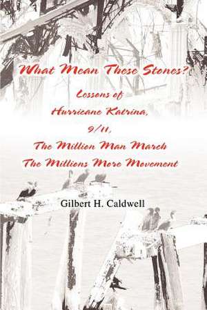 What Mean These Stones? de Gilbert H. Caldwell