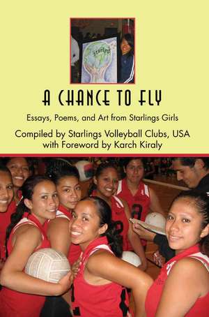 A Chance to Fly de Kiraly Karch Kiraly