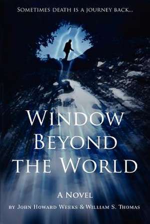 Window Beyond the World de William S. Thomas