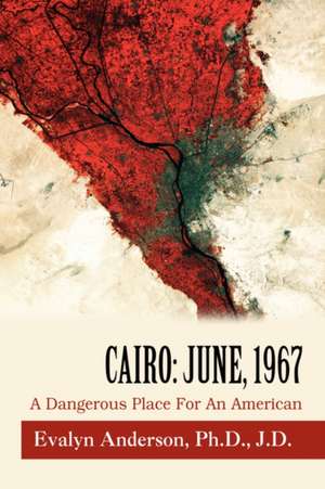 Cairo de Evalyn Anderson