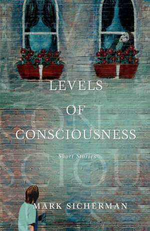 Levels of Consciousness de Mark Sicherman