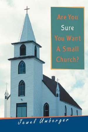 Are You Sure You Want a Small Church? de Jewel Umberger