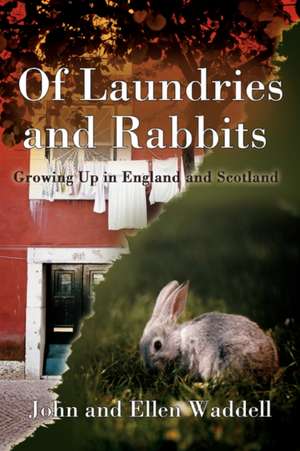 Of Laundries and Rabbits de John Waddell