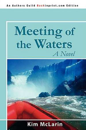 Meeting of the Waters de Kim McLarin