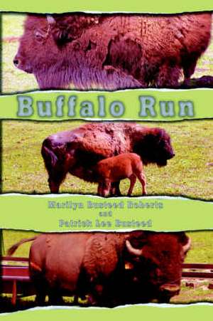 Buffalo Run de Marilyn Busteed Roberts