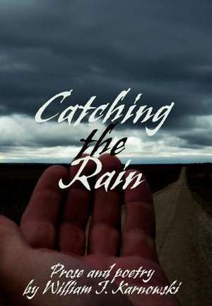 Catching the Rain de William J Karnowski