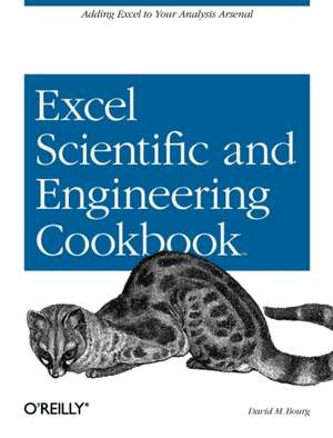 Excel Scientific and Engineering Cookbook de David M Bourg