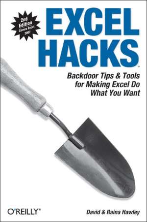 Excel Hacks 2e de David Hawley