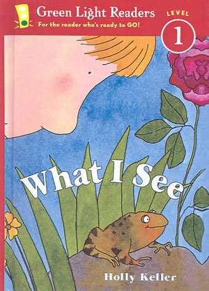 What I See de Holly Keller