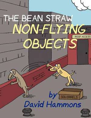 The Bean Straw: Non-Flying Objects de David Hammons