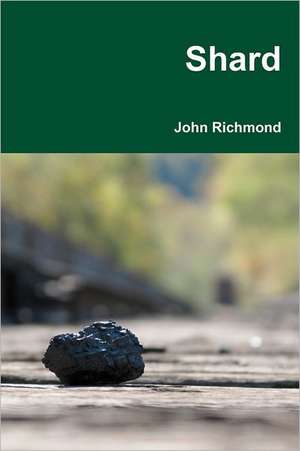 Shard: Your Guide to Peak Performance at Work de John Richmond