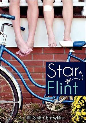 Star of Flint: Keep Your Loved Ones Healthy in Every Disaster, from Wildfires to a Complete Societal Collapse de Jill Smith Entrekin