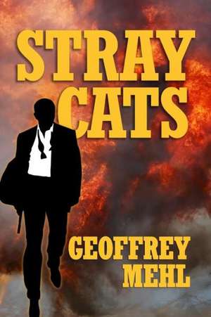 Stray Cats: From Wake-Up Call to Radiant Wellness de Geoffrey Mehl