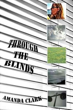 Through the Blinds: Entrepreneurial Couples Succeeding in Business, Life and Love de Amanda Clark