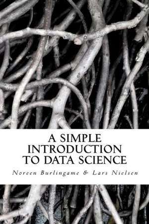 A Simple Introduction to Data Science: Memoir in Essays de Lars Nielsen