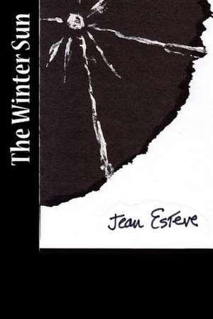 The Winter Sun de Jean Esteve