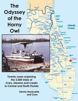 The Odyssey of the Horny Owl de Dennis Hardcastle