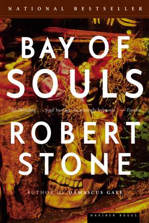 Bay Of Souls: A Novel de Robert Stone