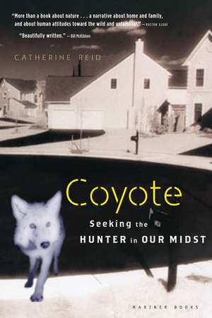 Coyote: Seeking the Hunter in Our Midst de Catherine Reid