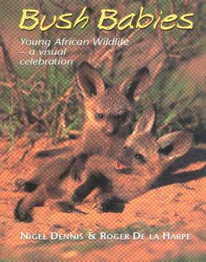 Bush Babies: Young African Wildlife -- A Visual Celebration de Nigel Dennis