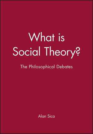 What is Social Theory?: The Philosophical Debates de A Sica