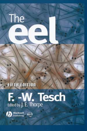 The Eel 5e de FW Tesch