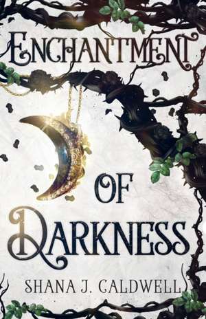 Enchantment of Darkness de Shana J. Caldwell