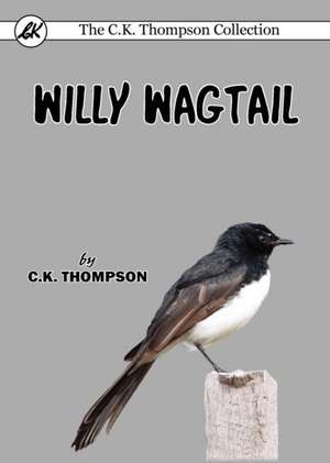 Willy Wagtail de C. K. Thompson